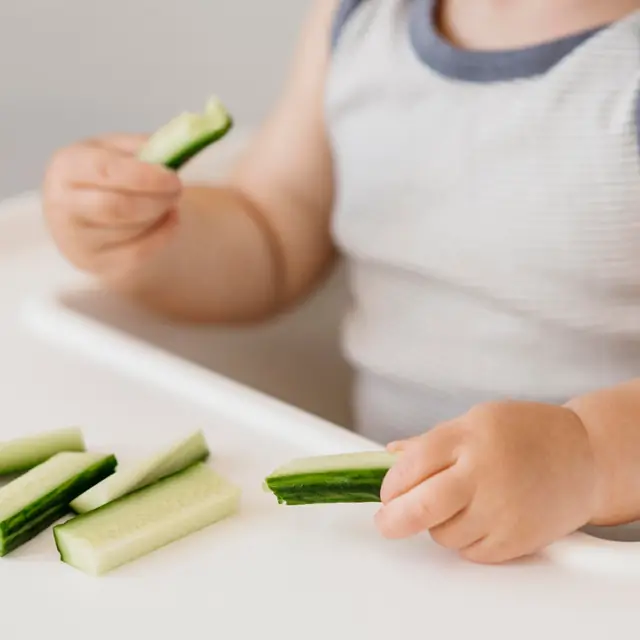 Mãozinhas de bebê segurando palitos de pepino no cadeirão